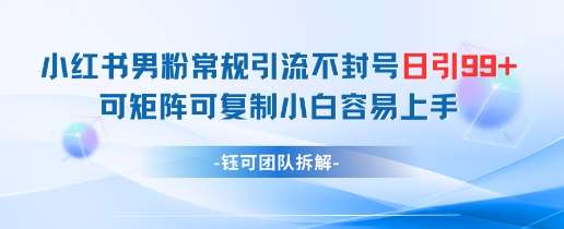 小红书男粉常规引流不封号日引99+变现简单 可矩阵可复制小白容易上手-讯领网创