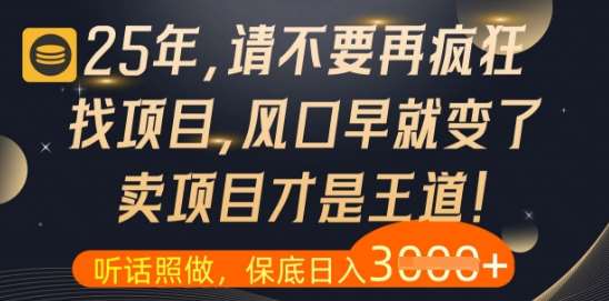 什么？25年你还在疯狂找项目做，醒醒吧，看完这些你全都懂了【揭秘】-讯领网创