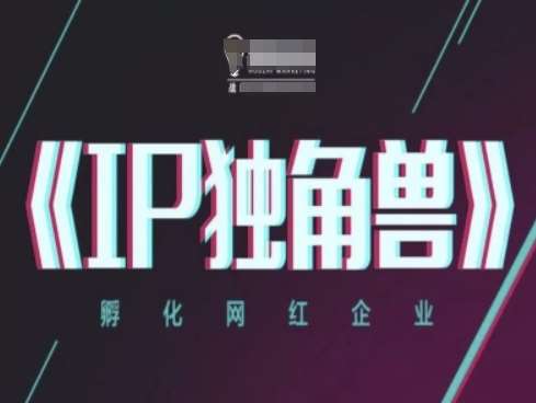 IP独角兽，孵化网红企业，ip教程-讯领网创