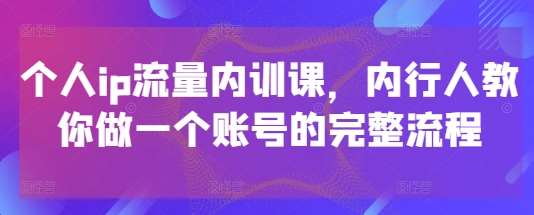 个人ip流量内训课，内行人教你做一个账号的完整流程-讯领网创