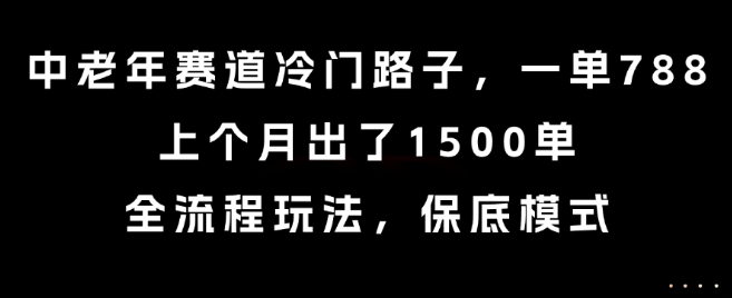 中老年赛道冷门路子，一单788，上个月出了1500单，全流程玩法，保底模式【揭秘】-讯领网创