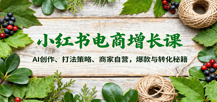 小红书电商增长课：AI创作、打法策略、商家自营，爆款与转化秘籍-讯领网创