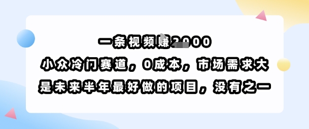 一条视频挣1k，小众冷门赛道，0成本，市场需求大，是未来半年最好做的项目，没有之一-讯领网创