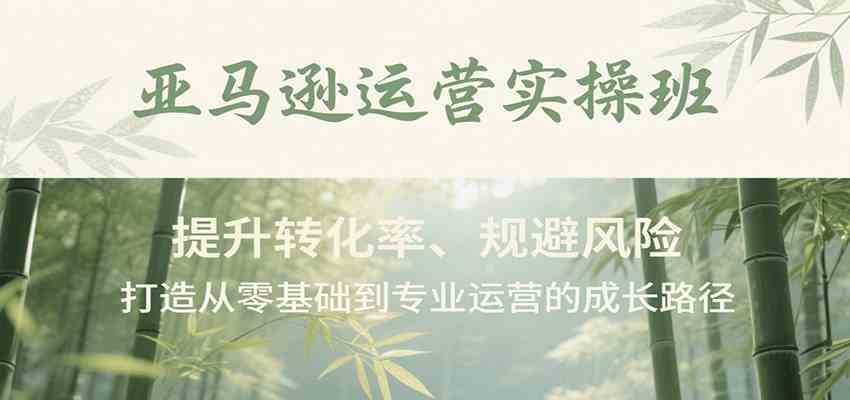 亚马逊运营实操班，提升转化率、规避风险，打造从零基础到专业运营的成长路径-讯领网创
