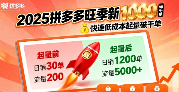2025拼多多旺季新老店铺——快速低成本起量破千单-讯领网创