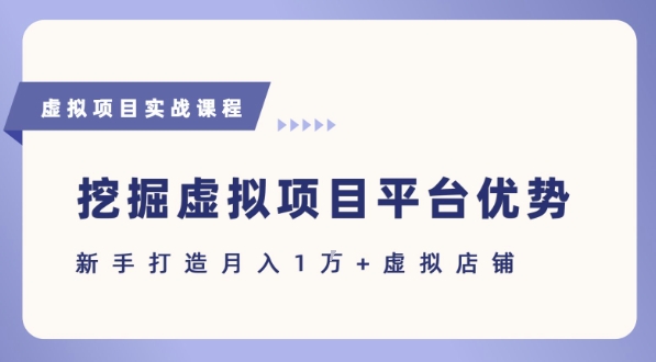 抓住虚拟项目各平台优势，新手轻松月入1W+(给出具体建议)-讯领网创