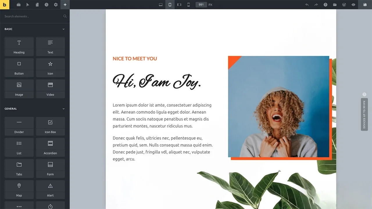 WordPress主题Bricks v1.9 破解版-讯领网创