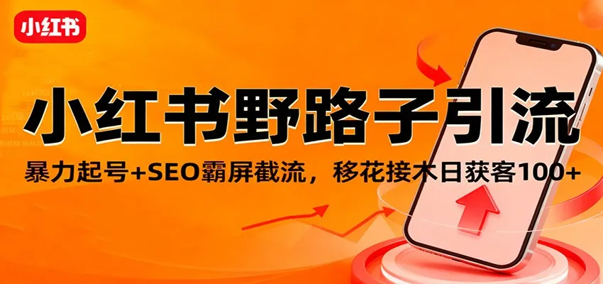 小红书野路子引流，暴力起号+SEO霸屏截流，移花接木日获客100+-讯领网创