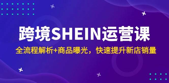 （14832期）跨境SHEIN运营课，全流程解析+商品曝光，快速提升新店销量-讯领网创