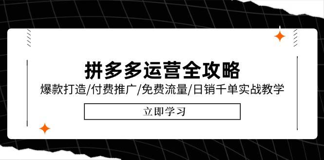 （15085期）拼多多运营全攻略，爆款打造/付费推广/免费流量/日销千单实战教学/6月更新-讯领网创