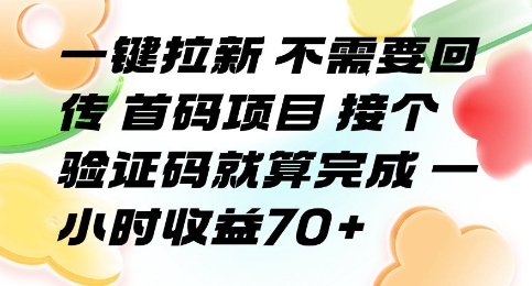 一键拉新 不需要回传 首码项目 接个验证码就算完成 一小时收益70+【揭秘】-讯领网创