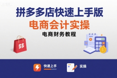 拼多多店快速上手版电商会计实操-电商财务教程-讯领网创