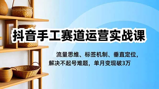 抖音手工赛道运营实战课，流量思维、标签机制、垂直定位，解决不起号难题，单月变现破3万-五四资源网