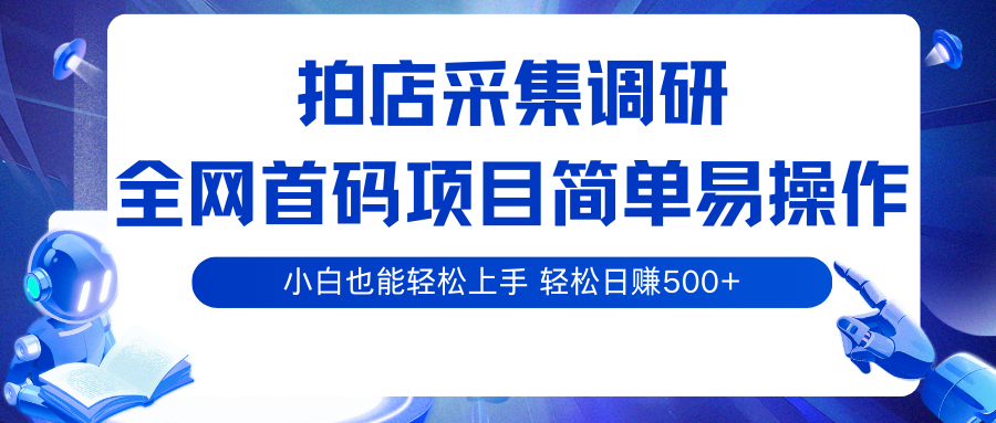 拍店采集调研，全网首码项目，简单易操作， 小白也能轻松上手，轻松日赚500+-讯领网创
