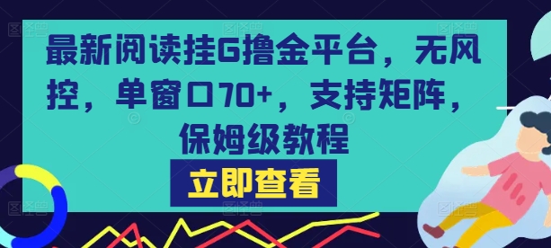 最新阅读挂G撸金平台，无风控，单窗口70+，支持矩阵，保姆级教程【揭秘】-讯领网创