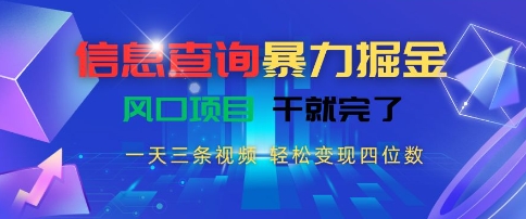 信息查询暴力掘金，一天三条视频，轻松变现四位数，风口项目干就完了【揭秘】-讯领网创