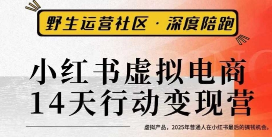 小红书虚拟电商14天变现训练营3.0，虚拟产品，2025年普通人在小红书最后的搞钱机会-讯领网创