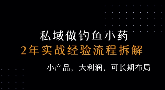 私域做钓鱼小药 每单利润3张+ 详细流程拆解-讯领网创