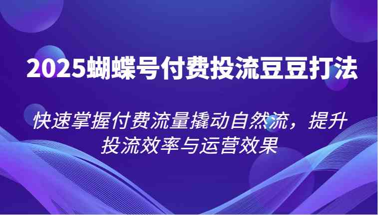 2025蝴蝶号付费投流豆豆打法，快速掌握付费流量撬动自然流，提升投流效率与运营效果-讯领网创
