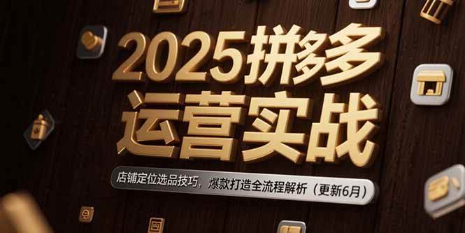 （15235期）2025拼多多运营实战：店铺定位选品技巧，爆款打造全流程解析（更新6月）-讯领网创