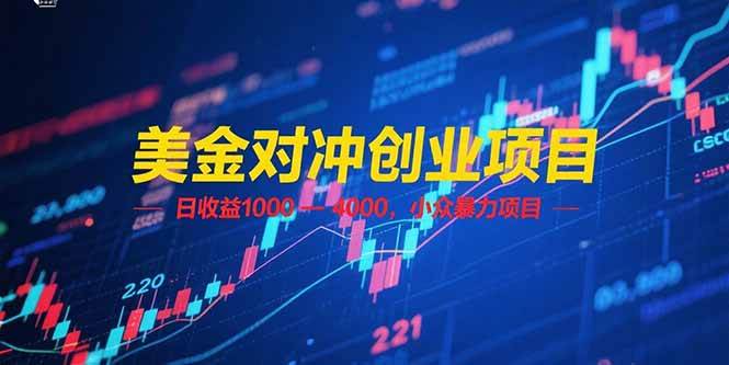 （15187期）美金对冲创业项目，日收益 1000 – 4000，小众暴力项目-讯领网创