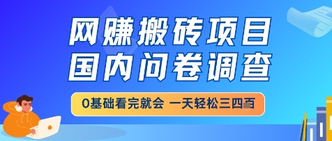 网创搬砖项目，国内问卷调查，小白轻松上手，一天三四张的也不难，干就完了【揭秘】-讯领网创