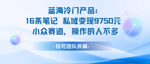 蓝海项目：16条笔记私域变现9750米小众赛道操作的人不多-讯领网创