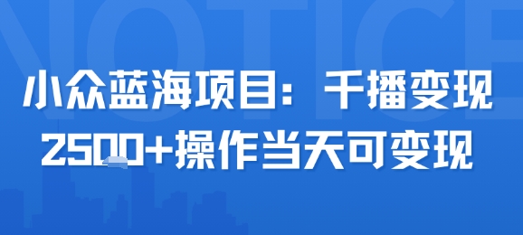 小众蓝海项目，千播变现2.5k+操作当天可变现-讯领网创