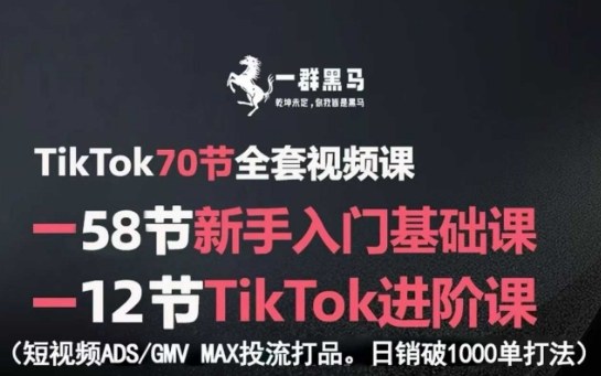 TikTok全套视频课，新手入门+进阶课，短视频ADS-GMV MAX投流打品，日销破1000单打法-讯领网创