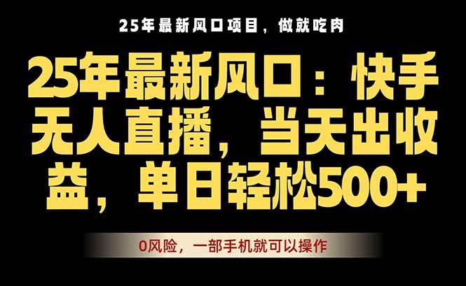 （16007期）25年最新无人直播玩法，当天秒出单，一部手机就可操作-讯领网创