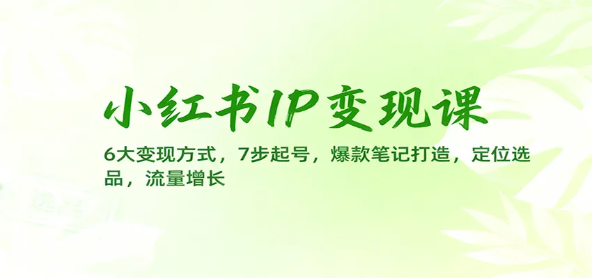 小红书IP变现课：6大变现方式，7步起号，爆款笔记打造，定位选品，流量增长-讯领网创