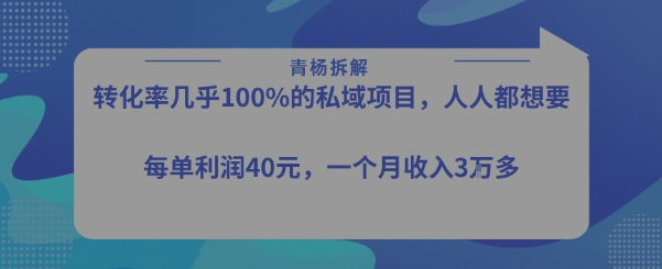 转化率最高的私域项目，每单利润40-50米，月入过1w-讯领网创