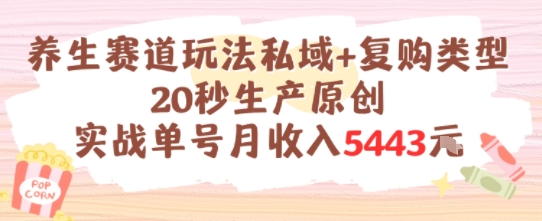 养生赛道玩法私域+复购类型，20秒生产原创实战单号月收入5k+-讯领网创