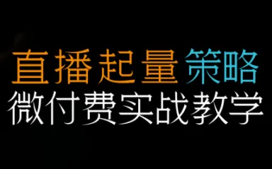 半野老师·直播带货起量与微付费必学课视频号-五四资源网