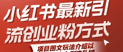 小红书最新引流创业粉方式，项目图文玩法介绍以及如何安全倒流私域-讯领网创