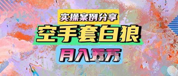 空手套白狼，月入过1W，实操案例分享-讯领网创