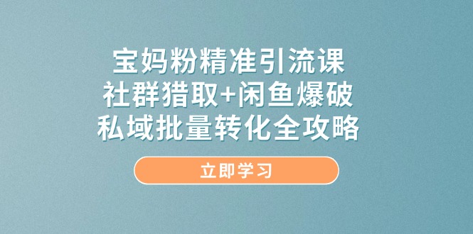 （14820期）宝妈粉精准引流课，社群猎取+闲鱼爆破，私域批量转化全攻略-讯领网创