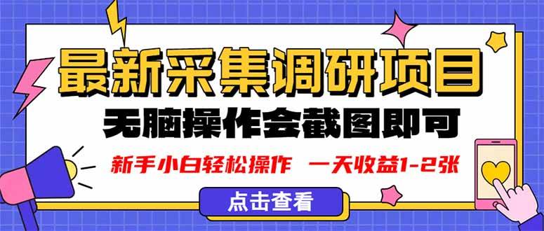 （16155期）新版采集调研项目，截图上传即可，无脑操作，日收益1-2张-讯领网创