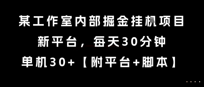 某工作室内部掘金挂G项目，新平台，每天30分钟，单机30+【揭秘】-讯领网创