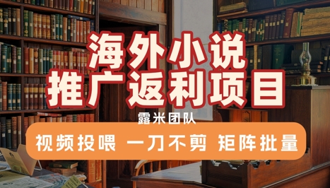 海外小说推广返利项目，视频投喂， 一刀不剪，矩阵批量-讯领网创