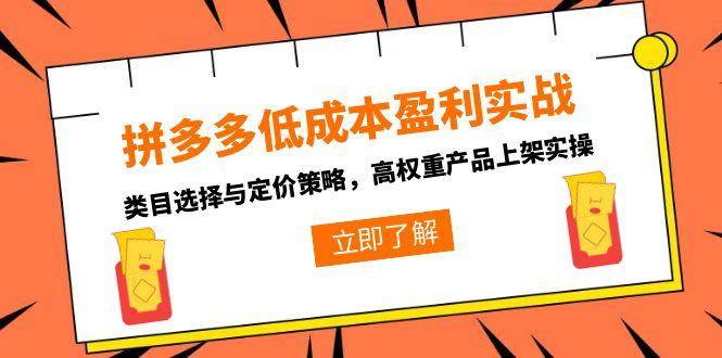 （15143期）拼多多低成本盈利实战，类目选择与定价策略，高权重产品上架实操-讯领网创