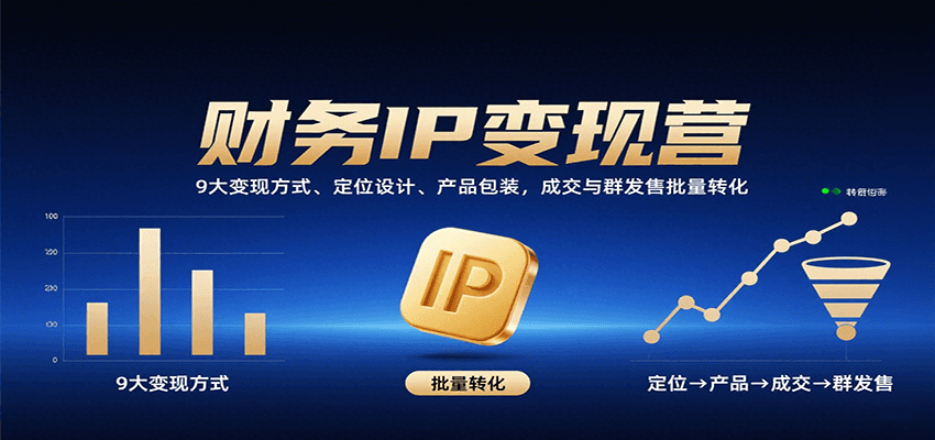 财务IP变现营：9大变现方式、定位设计、产品包装，成交与群发售批量转化-讯领网创