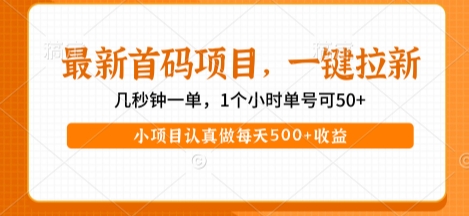 最新首码项目，操作最简单，收益高，一键拉新，1个小时单号可50+，小项目认真做每天5张+收益【揭秘】-讯领网创