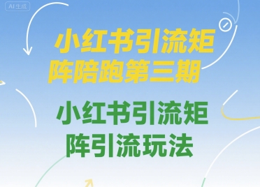 小红书引流矩阵陪跑第三期，小红书引流矩阵引流玩法-讯领网创