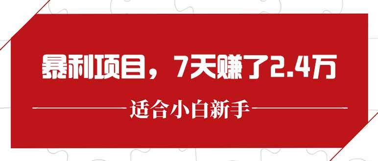 （15228期）最新暴利项目，每单收益轻松在300以上，7天赚了2.4万-讯领网创
