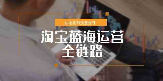 淘宝蓝海运营全链路，从选品到流量变现，小类目突围完整方案-讯领网创