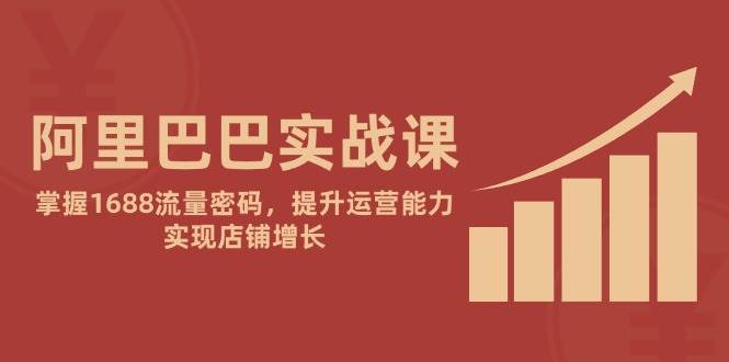 （14830期）阿里巴巴实战课：掌握1688流量密码，提升运营能力，实现店铺增长-讯领网创