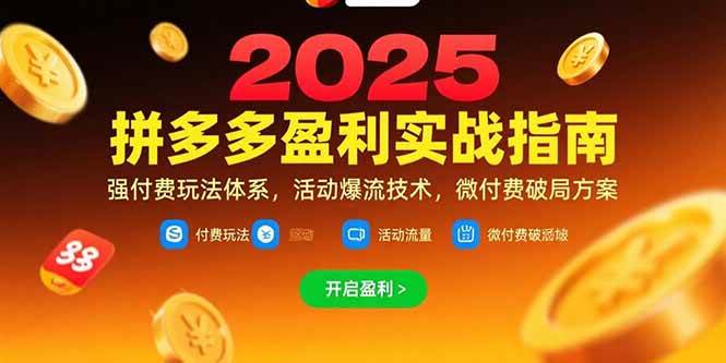 （15357期）拼多多盈利实战指南，强付费玩法，活动爆流技术，微付费破局方案(更新7月)-寒山客