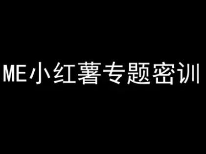 ME小红薯专题密训-小红书电商教程-讯领网创