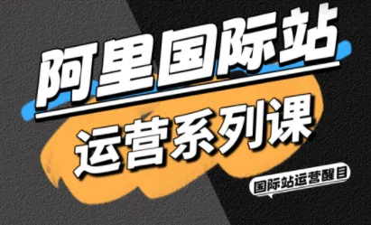 醒目老师·阿里国际站运营系列课(更新11月)-五四资源网
